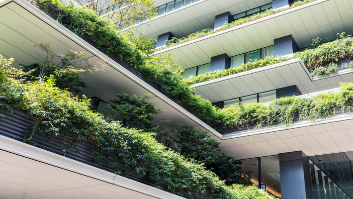 Building along with trees