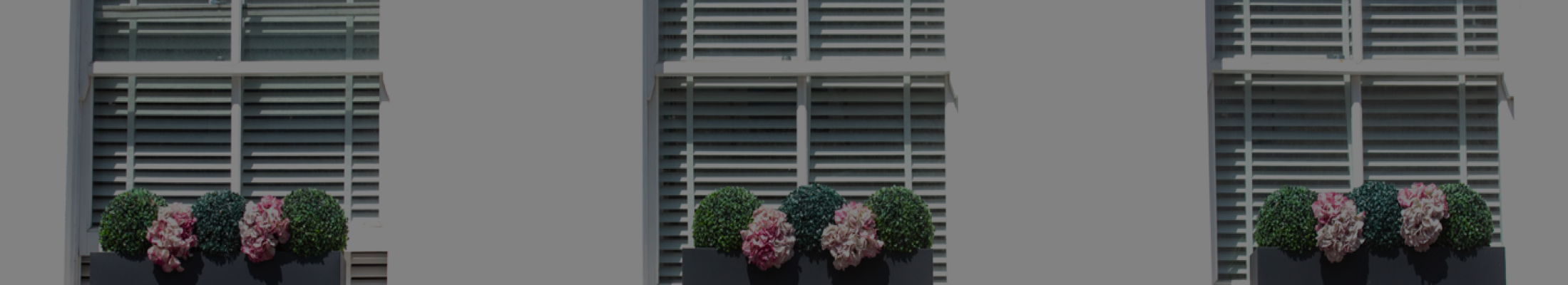 Windows of house decorated with plants and flowers