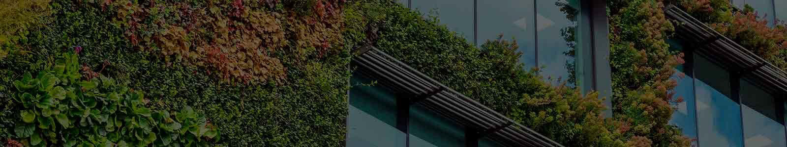 Zoomed in image of exterior of office building with living wall plants