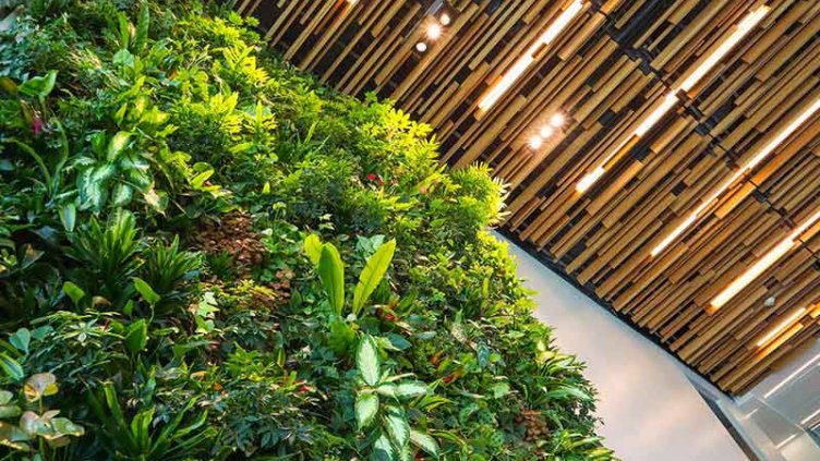 Flower garden in the building