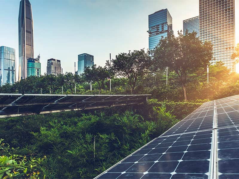 It’s time to evolve. How can cities attract green-thinking corporates?  