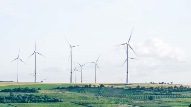 Fields with windmills generating renewable energy
