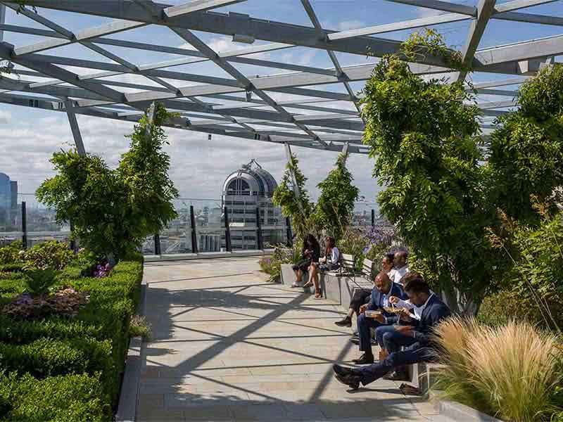 People seating in sustainability greenary area and having lunch