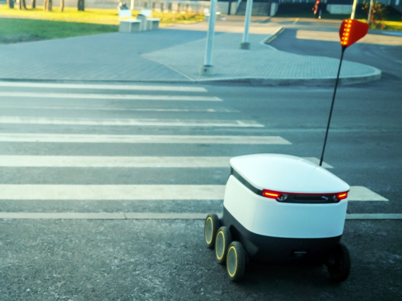 Delivery robot in retail logistics sector