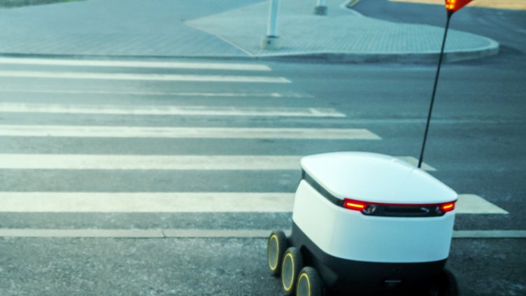 Delivery robot in retail logistics sector
